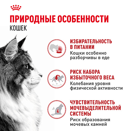 Royal Canin INSTINCTIVE Корм консервированный для взрослых кошек, соус