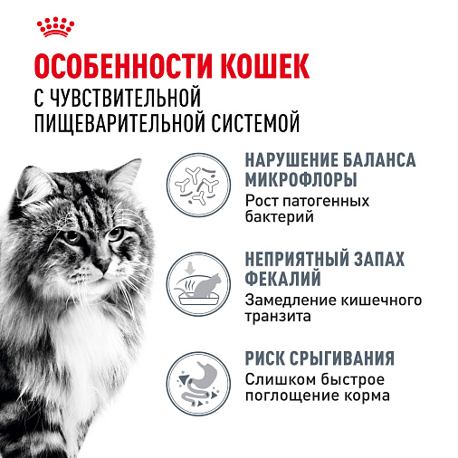 Royal Canin Digestive Care Корм сухой полнорационный для взрослых кошек. Рекомендуется для поддержания здоровья пищеварительной системы