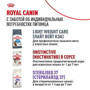 Royal Canin Indoor Sterilised (в желе) Корм консервированный полнорационный для взрослых кошек (в возрасте от 1 года до 7 лет), постоянно живущих в помещении