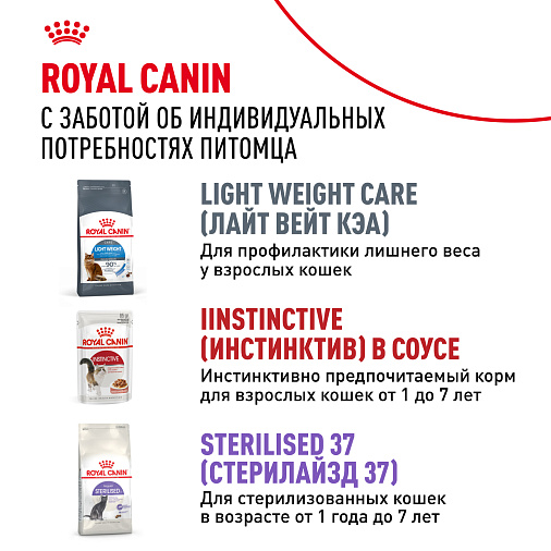 Royal Canin Indoor Sterilised (в желе) Корм консервированный полнорационный для взрослых кошек (в возрасте от 1 года до 7 лет), постоянно живущих в помещении