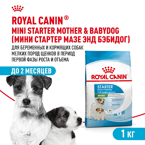 Royal Canin Mini Starter Корм сухой для щенков мелких размеров до 2-х месяцев, беременных и кормящих сук