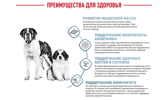 Royal Canin Giant Junior Корм сухой  для щенков очень крупных пород  в возрасте от 8 до 18/24 месяцев