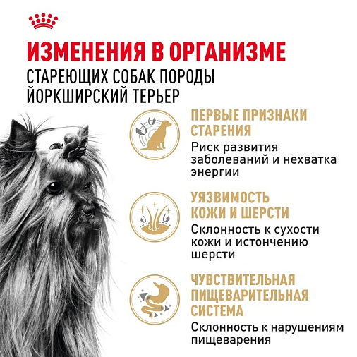 Royal Canin Yorkshire Terrier Adult 8+ Корм сухой для стареющих собак породы Йоркширский Терьер от 8 лет