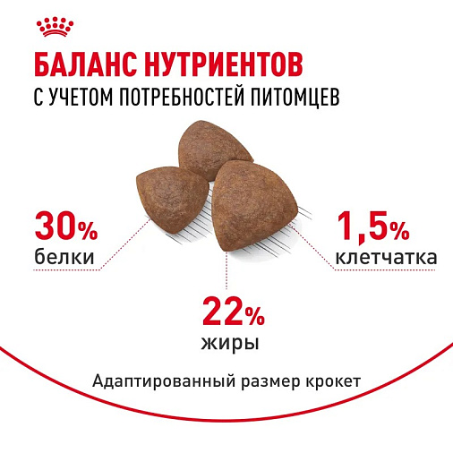 Royal Canin Medium Starter Mother&Babydog Корм сухой полнорационный для щенков средних размеров в период отъема и до 2х месяцев, беременных и кормящих сук