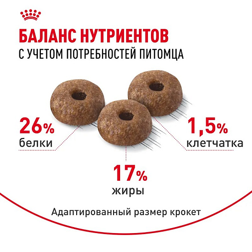 Royal Canin Mini Dermacomfort Корм сухой для взрослых собак мелких размеров при раздражениях и зуде кожи