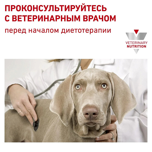 Royal Canin Mobility C2P+ Корм сухой полнорационный для взрослых собак с повышенной чувствительностью суставов