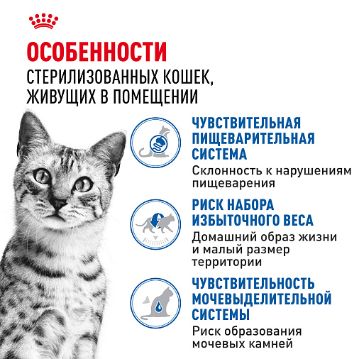 Royal Canin Indoor Sterilised (в желе) Корм консервированный полнорационный для взрослых кошек (в возрасте от 1 года до 7 лет), постоянно живущих в помещении