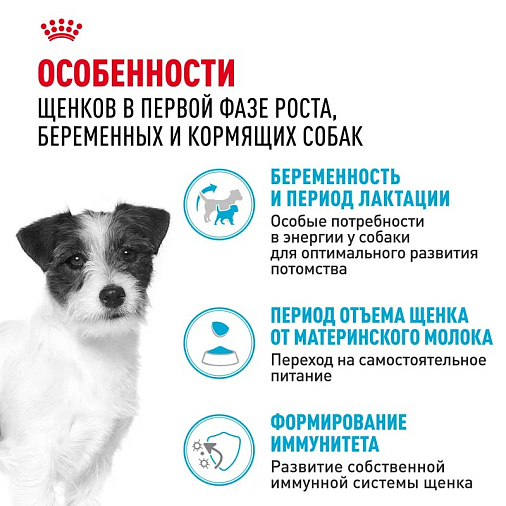 Royal Canin Mini Starter Корм сухой для щенков мелких размеров до 2-х месяцев, беременных и кормящих сук