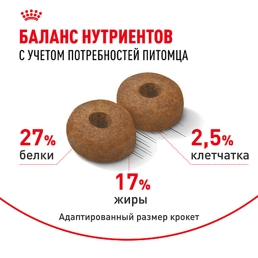 Royal Canin Maxi Ageing 8+ Корм сухой для стареющих собак крупных размеров от 8 лет и старше