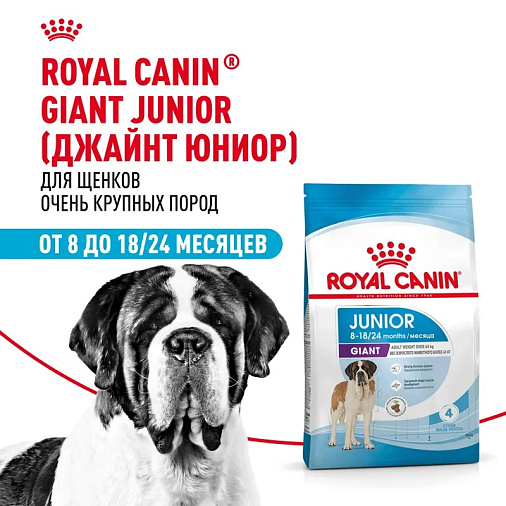 Royal Canin Giant Junior Корм сухой  для щенков очень крупных пород  в возрасте от 8 до 18/24 месяцев