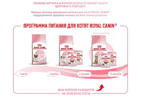 Royal Canin Kitten Sterilised Корм сухой сбалансированный для стерилизованных котят до 12 месяцев
