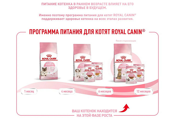 Royal Canin Kitten Sterilised Корм сухой сбалансированный для стерилизованных котят до 12 месяцев