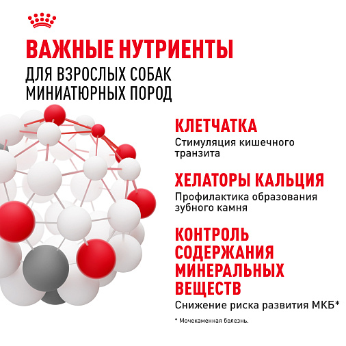 Royal Canin X-Small Adult Корм сухой для взрослых собак очень мелких размеров от 10 месяцев