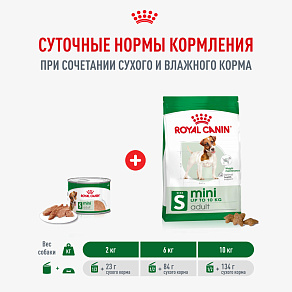 Royal Canin Mini Adult Влажный корм для взрослых собак мелких размеров от 10 месяцев