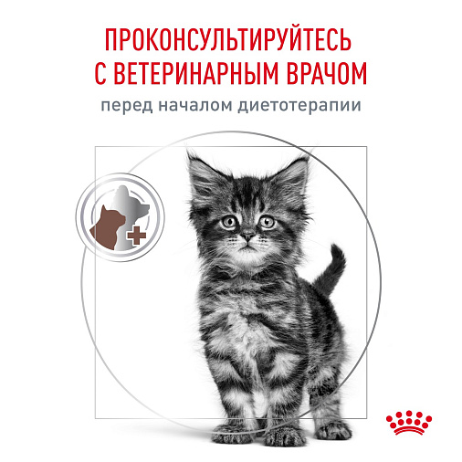 Royal Canin Gastrointestinal Kitten (Гастроинтестинал Киттен) Корм сухой для котят от 2 до 10 месяцев при нарушениях пищеварения