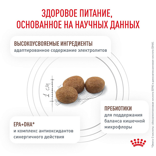 Royal Canin GASTROINTESTINAL HAIRBALL (ГАСТРОИНТЕСТИНАЛ ХЭЙРБОЛЛ) Корм сухой для взрослых кошек для профилактики образования волосяных комочков