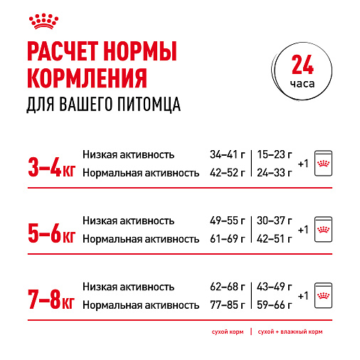 Royal Canin British Shorthair Adult Корм консервированный для взрослых британских короткошерстных кошек,соус