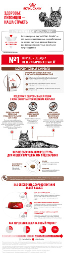 Royal Canin GASTROINTESTINAL HAIRBALL (ГАСТРОИНТЕСТИНАЛ ХЭЙРБОЛЛ) Корм сухой для взрослых кошек для профилактики образования волосяных комочков