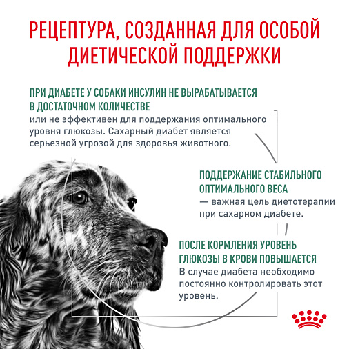 Royal Canin Diabetic (Диабетик) Корм сухой для взрослых собак при сахарном диабете
