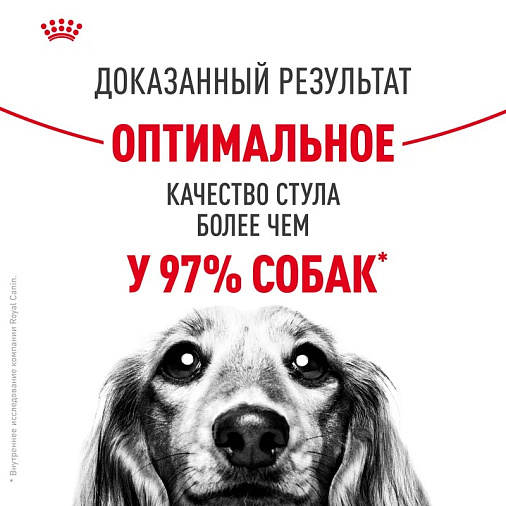 Royal Canin Medium Digestive Care Корм сухой для взрослых собак средних пород с чувствительным пищеварением