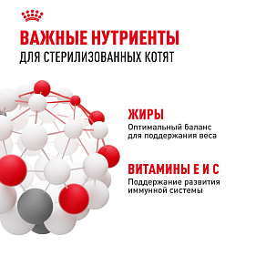 Royal Canin KITTEN STERILISED Корм консервированный полнорационный для кошек - Специально для кастрированных и стерилизованных котят (в возрасте от 6 до 12 месяцев), мелкие кусочки в желе
