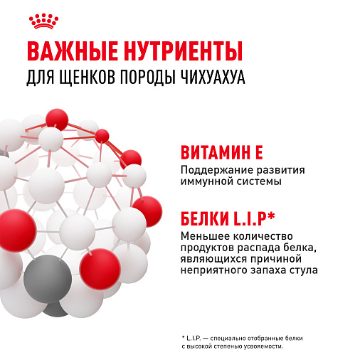 Royal Canin Chihuahua Puppy Корм сухой для щенков породы Чихуахуа до 8 месяцев