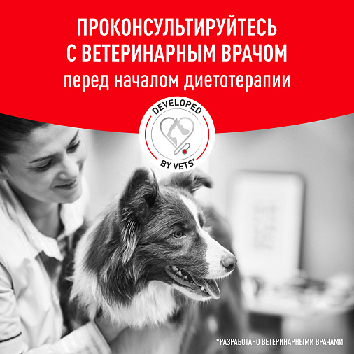 Royal Canin Glycobalance Small Dogs Корм сухой полнорационный диетический для взрослых собак мелких пород при диабете