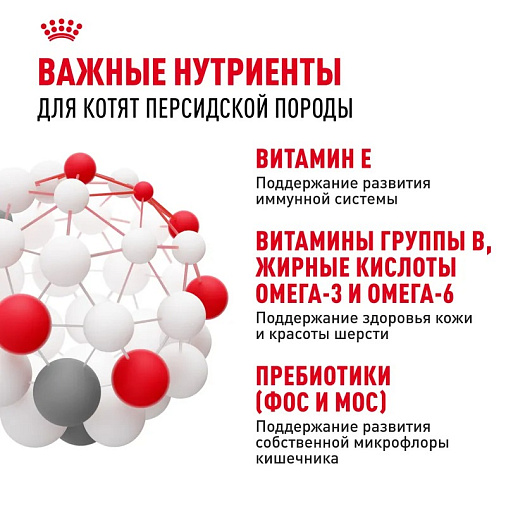 Royal Canin Persian Kitten Корм сухой сбалансированный для персидских котят (до 12 месяцев)