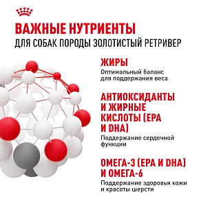 Royal Canin Golden Retriever Adult Корм сухой для взрослых собак породы Голден Ретривер от 15 месяцев