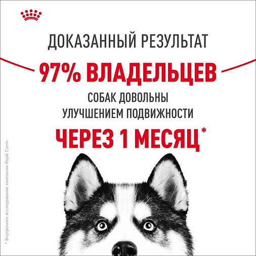 Royal Canin Maxi Joint Care Корм сухой для взрослых собак крупных размеров с повышенной чувствительностью суставов