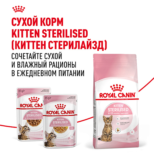 Royal Canin KITTEN STERILISED Корм консервированный полнорационный для кошек — Специально для кастрированных и стерилизованных котят (в возрасте от 6 до 12 месяцев), мелкие кусочки в соусе