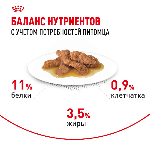 Royal Canin INDOOR STERILISED Корм консервированный полнорационный для взрослых кастрированных и стерилизованных кошек, живущих в помещении (кусочки в соусе)
