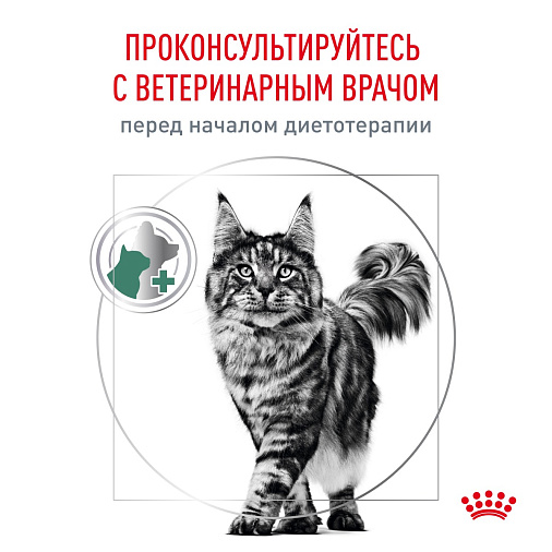 Royal Canin Satiety Weight Management (Сэтайети Вейт Менеджмент) Корм сухой для взрослых кошек, рекомендуемый для снижения веса