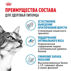 Royal Canin Indoor 27 Корм сухой сбалансированный для взрослых кошек, живущих в помещении