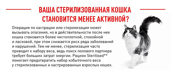 Royal Canin Sterilised 37 Корм сухой сбалансированный для взрослых стерилизованных кошек