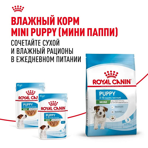 Royal Canin Mini Puppy Корм сухой для щенков мелких пород в возрасте до 10 месяцев