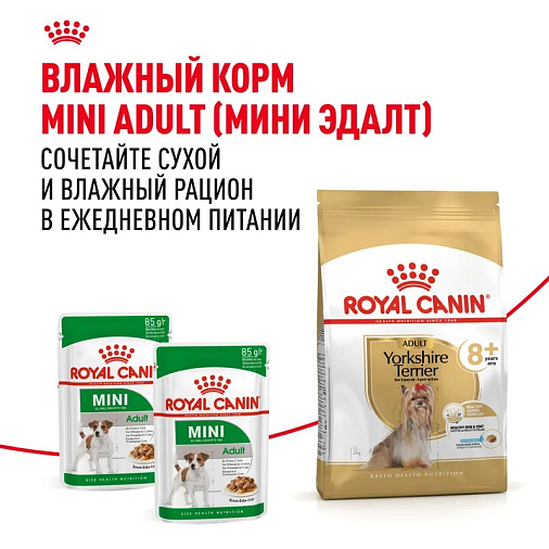 Royal Canin Yorkshire Terrier Adult 8+ Корм сухой для стареющих собак породы Йоркширский Терьер от 8 лет