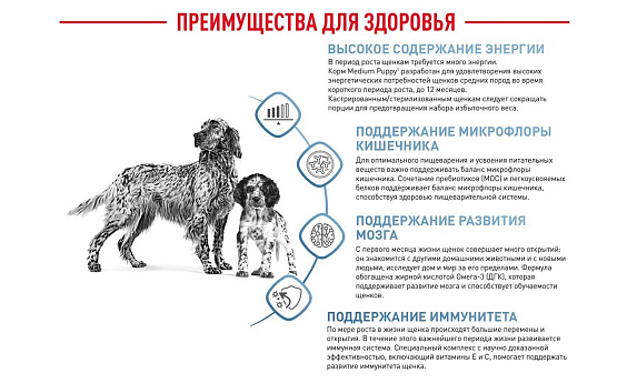 Royal Canin Medium Puppy Корм сухой для щенков средних размеров от 2 до 12 месяцев