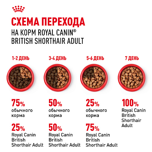 Royal Canin British Shorthair Adult Корм консервированный для взрослых британских короткошерстных кошек,соус