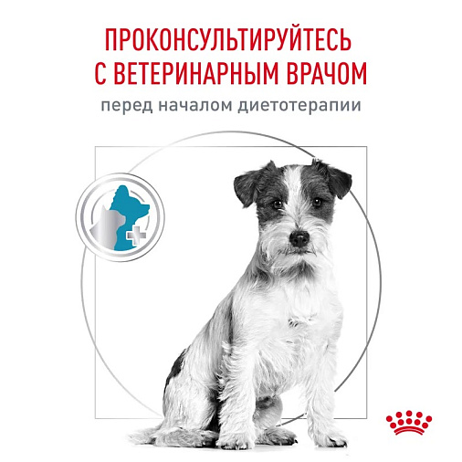 Royal Canin HYPOALLERGENIC SMALL DOGS (ГИПОАЛЛЕРДЖЕНИК СМОЛ ДОГЗ) Корм сухой для взрослых собак мелких пород при пищевой аллергии