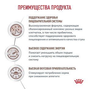 Royal Canin GASTROINTESTINAL (ГАСТРОИНТЕСТИНАЛ) Корм влажный для взрослых кошек при расстройствах пищеварения