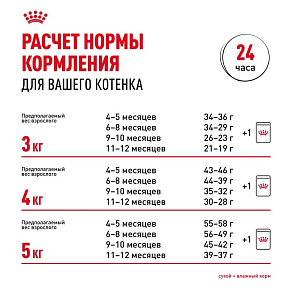 Royal Canin Persian Kitten Корм сухой сбалансированный для персидских котят (до 12 месяцев)