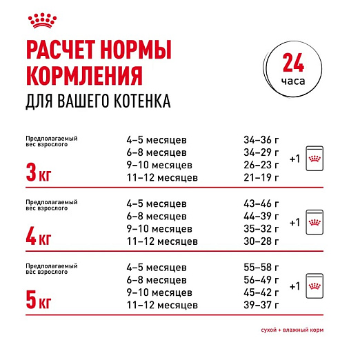 Royal Canin Persian Kitten Корм сухой сбалансированный для персидских котят (до 12 месяцев)