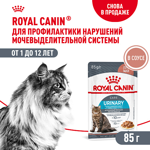 Royal Canin Корм для профилактики нарушения мочевыделительной системы у взрослых кошек (Urinary Care), мелкие кусочки в соусе