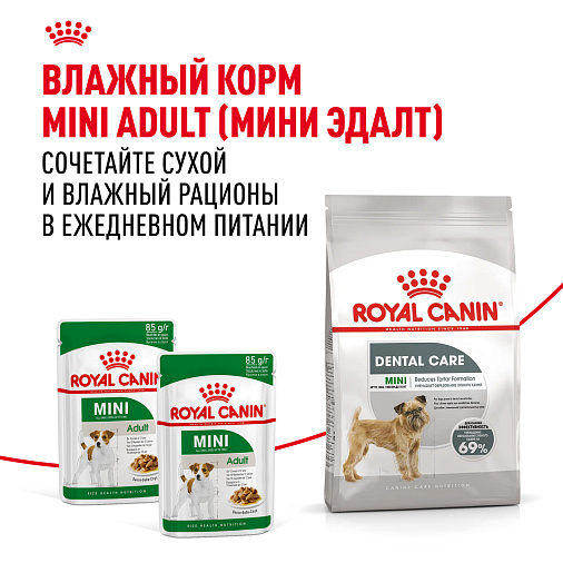 Royal Canin Mini Dental Care Корм сухой для собак мелких размеров, предрасположенных к образованию зубного камня