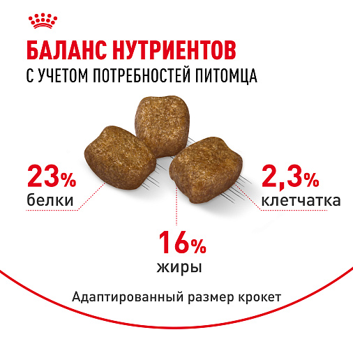 Royal Canin Mini Dental Care Корм сухой для собак мелких размеров, предрасположенных к образованию зубного камня