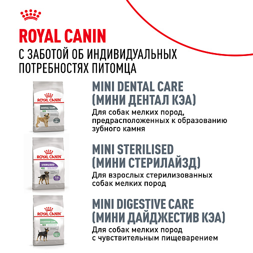 Royal Canin Dachshund Adult Корм сухой для взрослых собак породы Такса от 10 месяцев