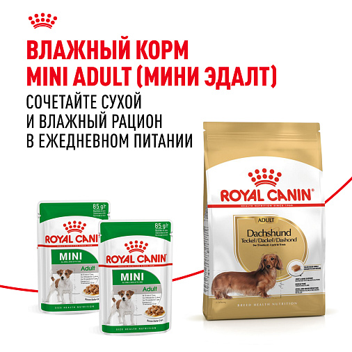Royal Canin Dachshund Adult Корм сухой для взрослых собак породы Такса от 10 месяцев