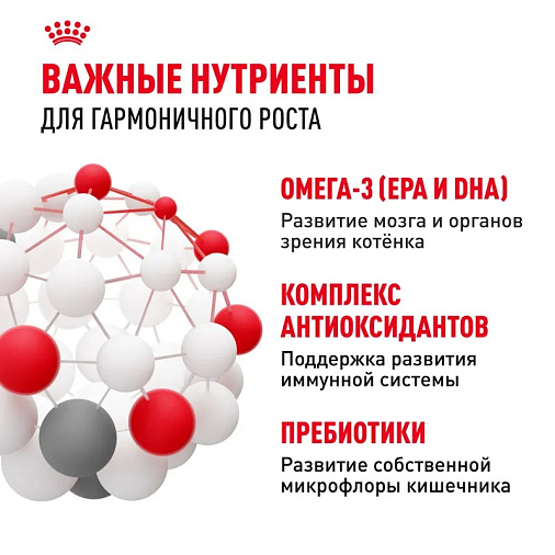 Royal Canin Kitten Корм сухой сбалансированный для котят в период второй фазы роста до 12 месяцев