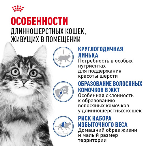 Royal Canin Indoor Long Hair Корм сухой сбалансированный для взрослых длинношерстных кошек, живущих в помещении